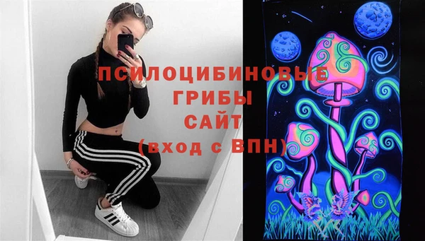 мяу мяу мука Елизово