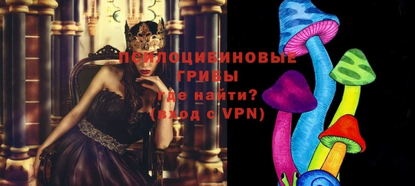 мяу мяу мука Елизово